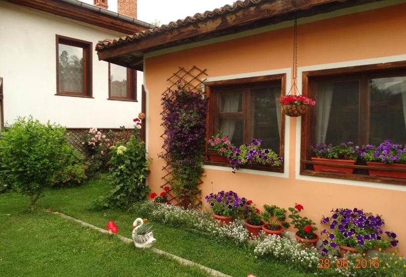 פנסיון Bobi Guest House