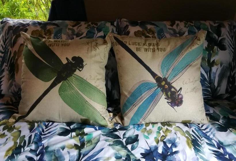 پانسیون Encantada Guest House