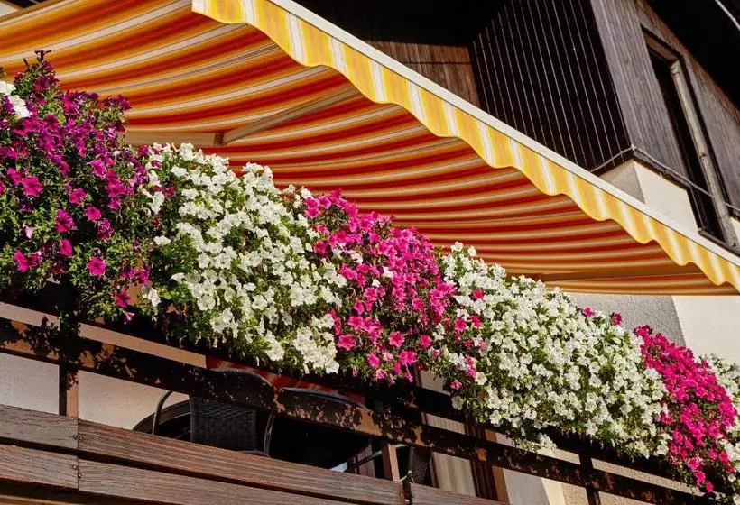 پانسیون Guesthouse Sanabor