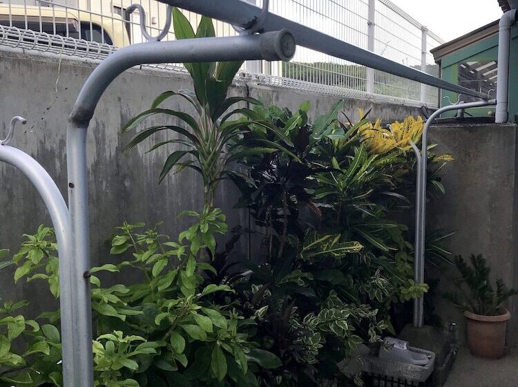 ペンション Minshuku Shizu