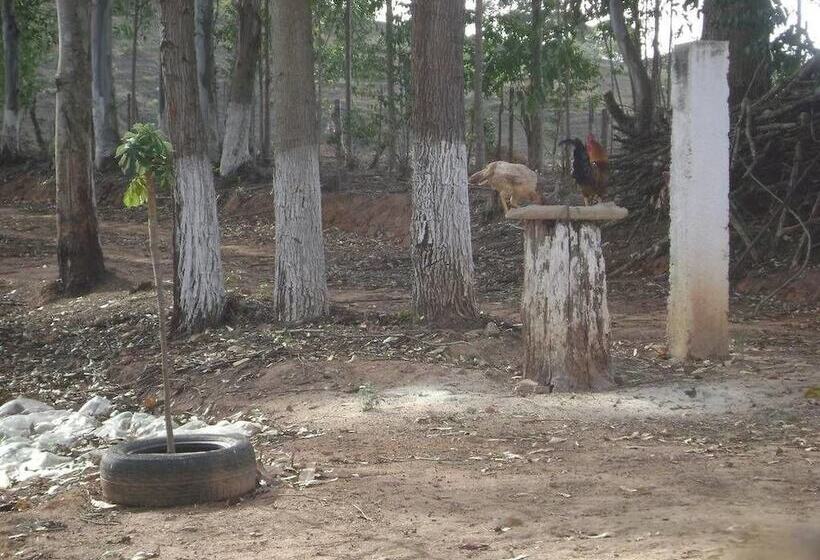 پانسیون Pousada Dos Tucanos