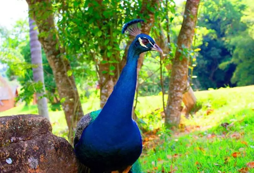 Majatalo Pousada Villa Di Carpi