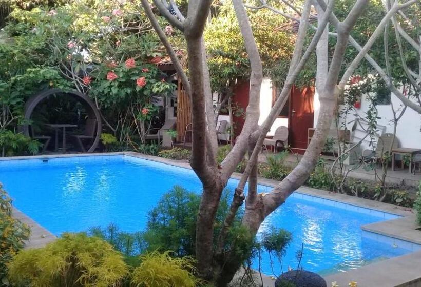 פנסיון Yoga Lover