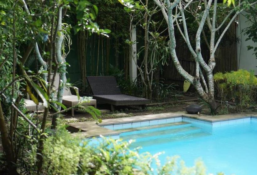 פנסיון Yoga Lover