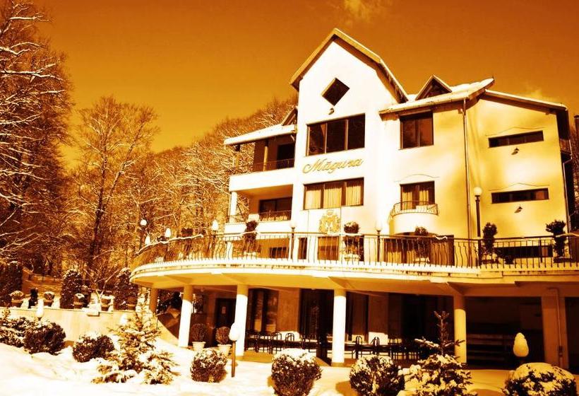 Pensiunea Magura