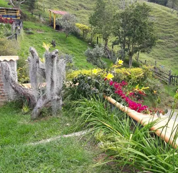 ホテル Finca Cardonales