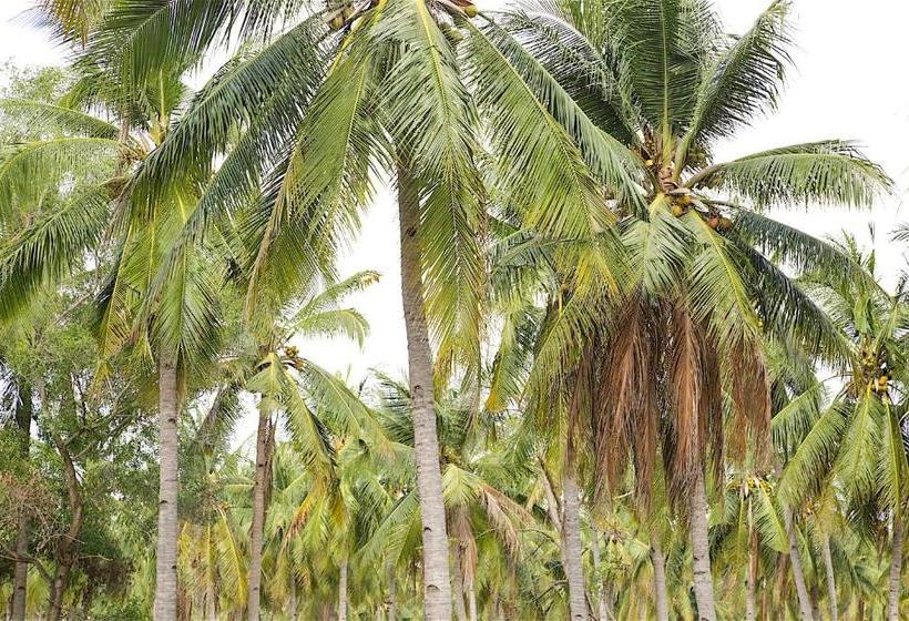 Пансион Koi Gili Guest House