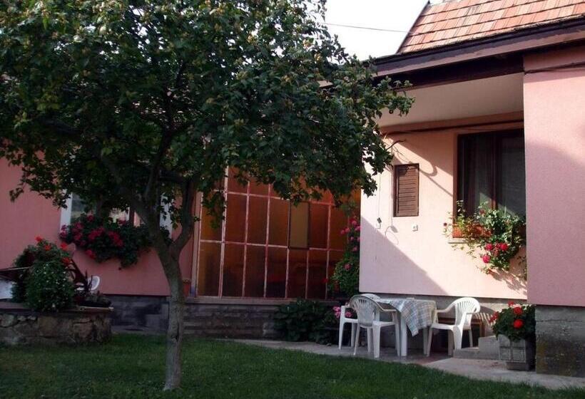 Пансион Lugas Szallas