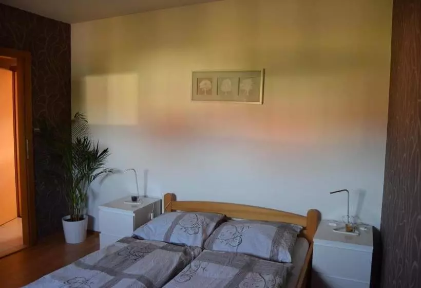 ペンション Penzion Na Gruntě