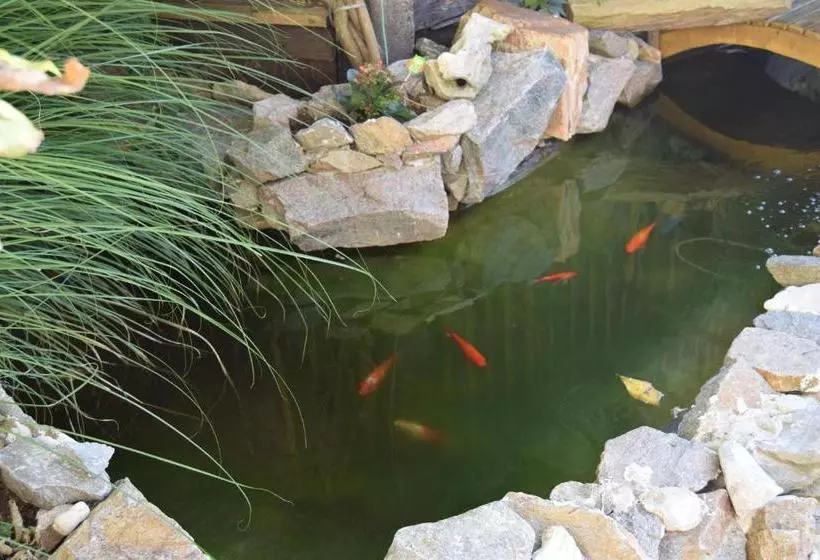 ペンション Penzion Na Gruntě