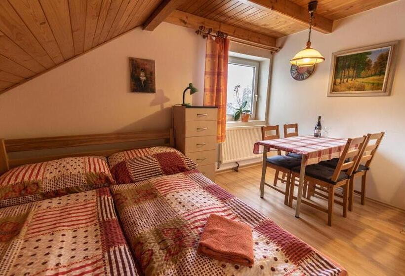 بنسيون Penzion U Vichu