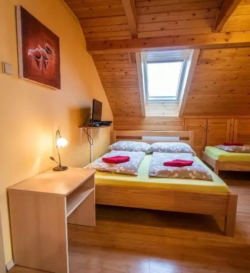 Majatalo Penzion U Vichu