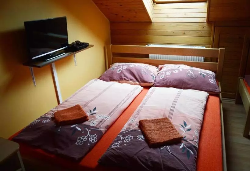 Majatalo Penzion U Vichu