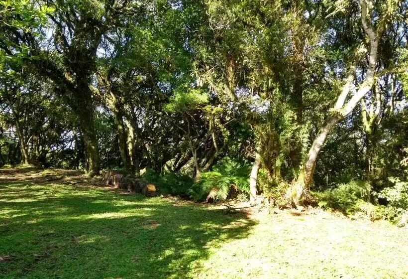 Majatalo Recanto Da Mata Pousada