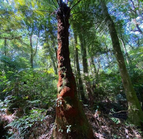Pension Recanto Da Mata Pousada