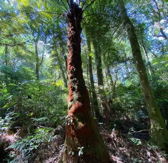 Majatalo Recanto Da Mata Pousada