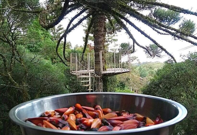 Pension Recanto Da Mata Pousada