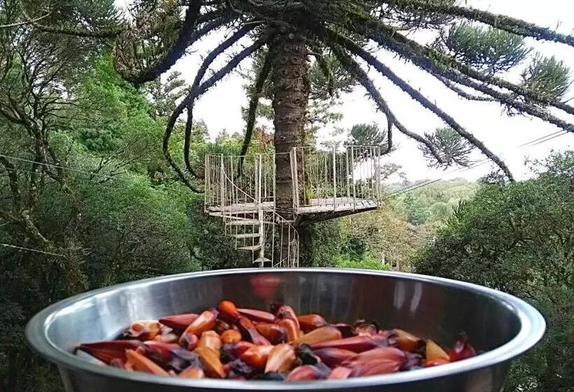 Majatalo Recanto Da Mata Pousada