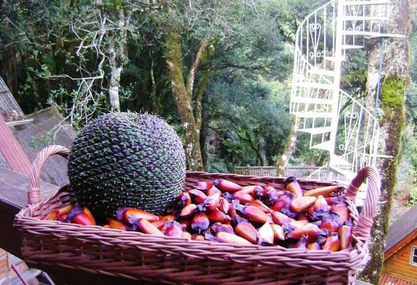 Pension Recanto Da Mata Pousada