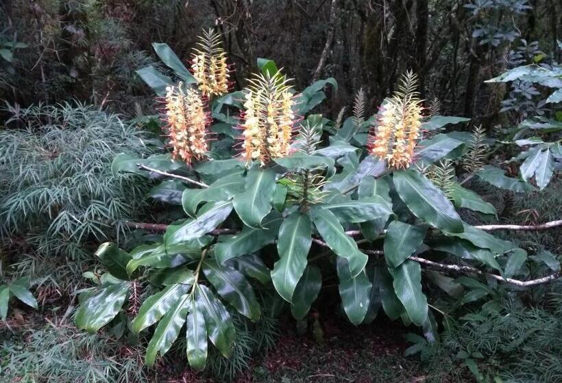 Pension Recanto Da Mata Pousada