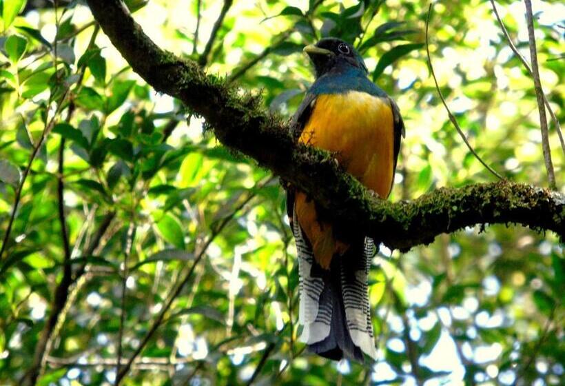 Pension Recanto Da Mata Pousada