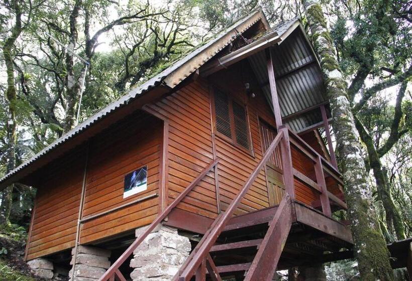 Pension Recanto Da Mata Pousada