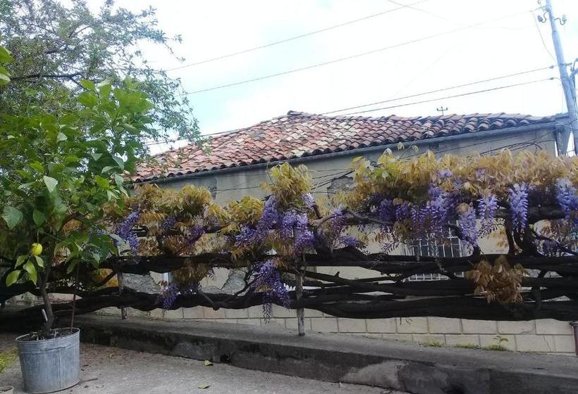 پانسیون Tlt Guest House