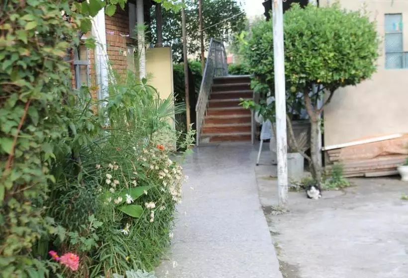 پانسیون Tlt Guest House