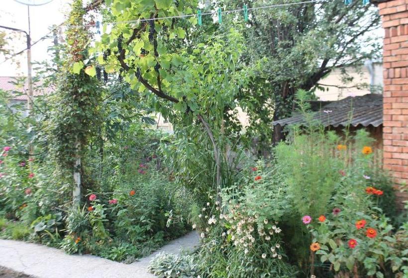 پانسیون Tlt Guest House