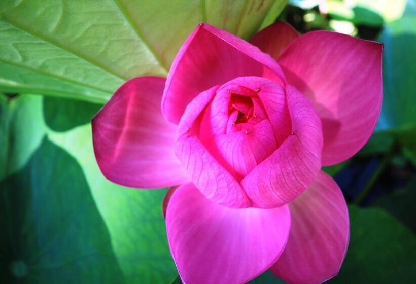 پانسیون Vila Carlos