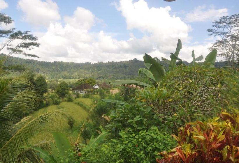 膳宿费 Villa Shantiasa Bali