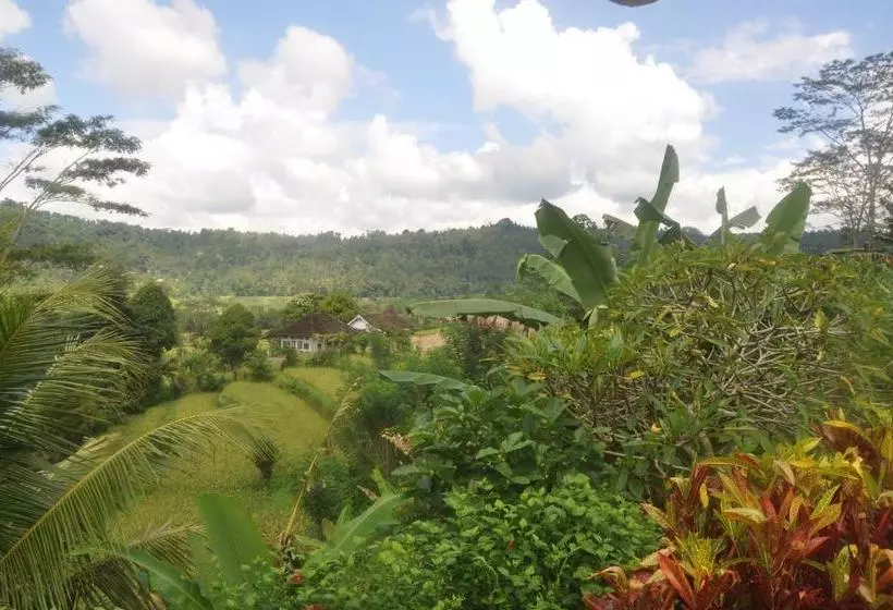 ペンション Villa Shantiasa Bali