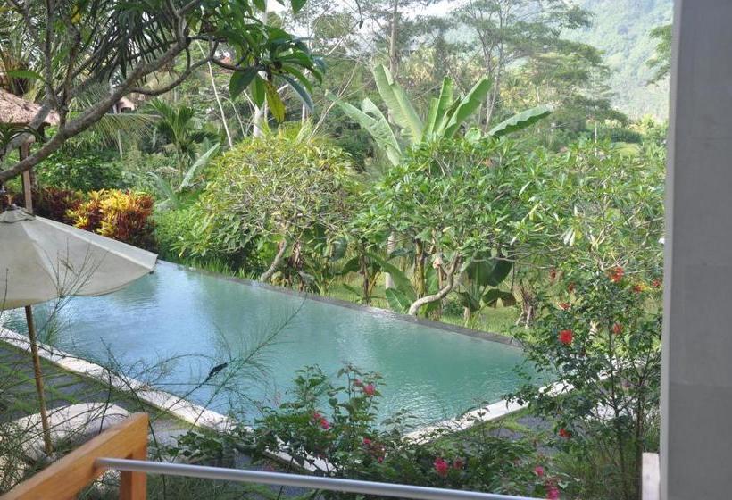 膳宿费 Villa Shantiasa Bali