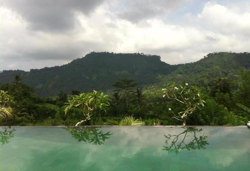 膳宿费 Villa Shantiasa Bali