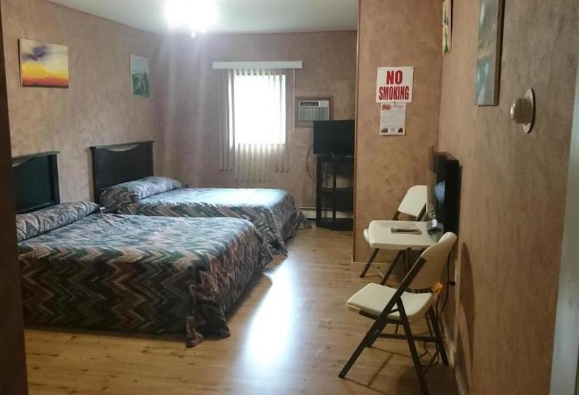 הוסטל B&b Lounge