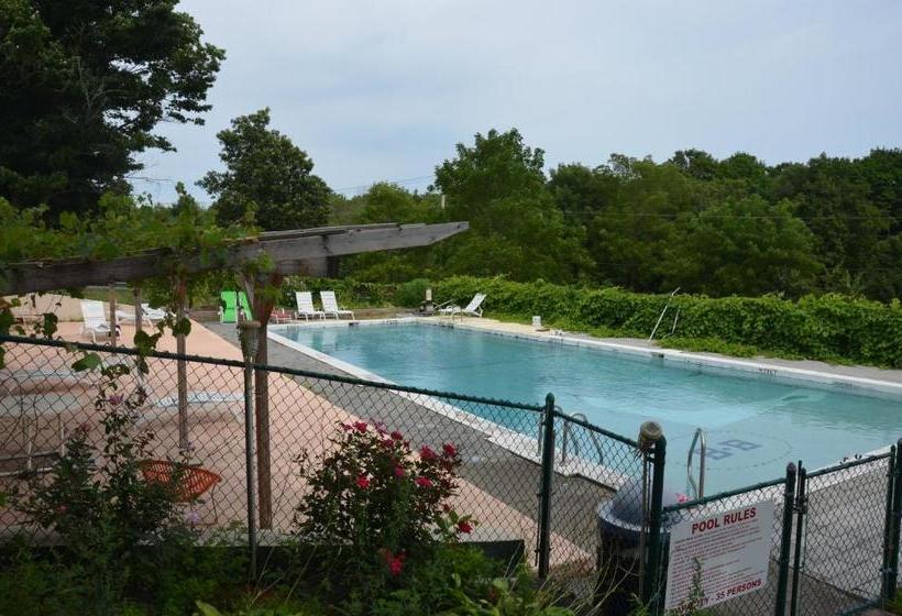 הוסטל B&b Lounge