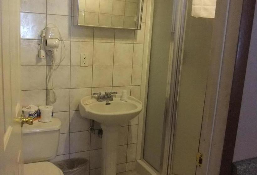 הוסטל B&b Lounge