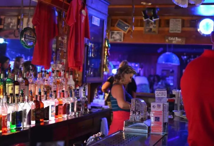 هاستل B&b Lounge