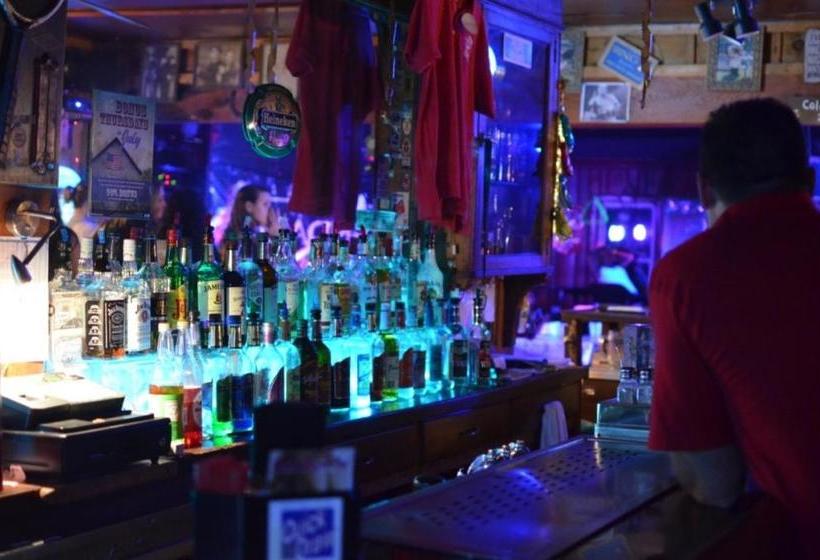 הוסטל B&b Lounge