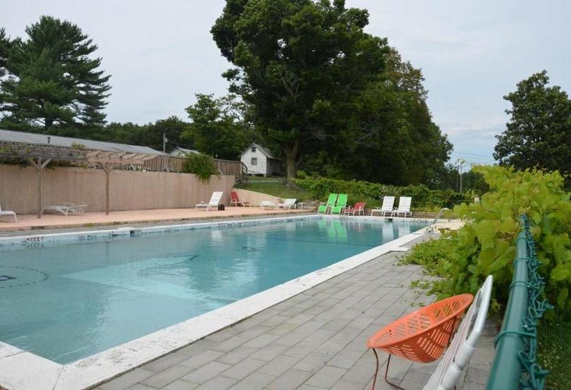 הוסטל B&b Lounge