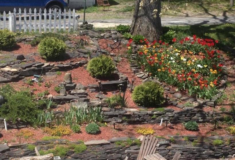 הוסטל B&b Lounge