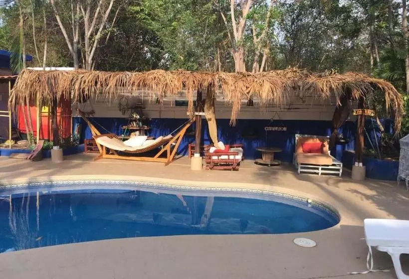 Apartamentos Massai