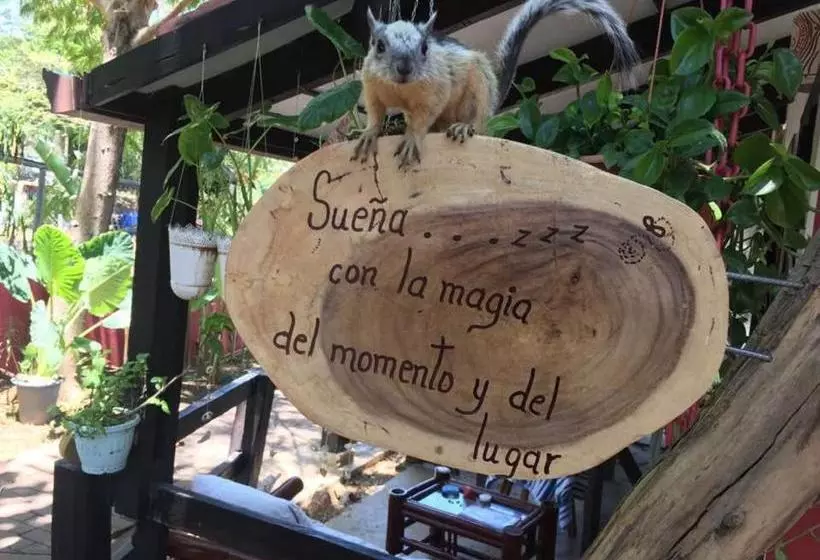 Apartamentos Massai