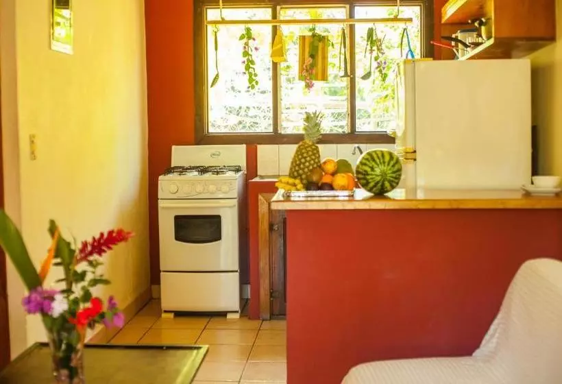 Apartamentos Massai