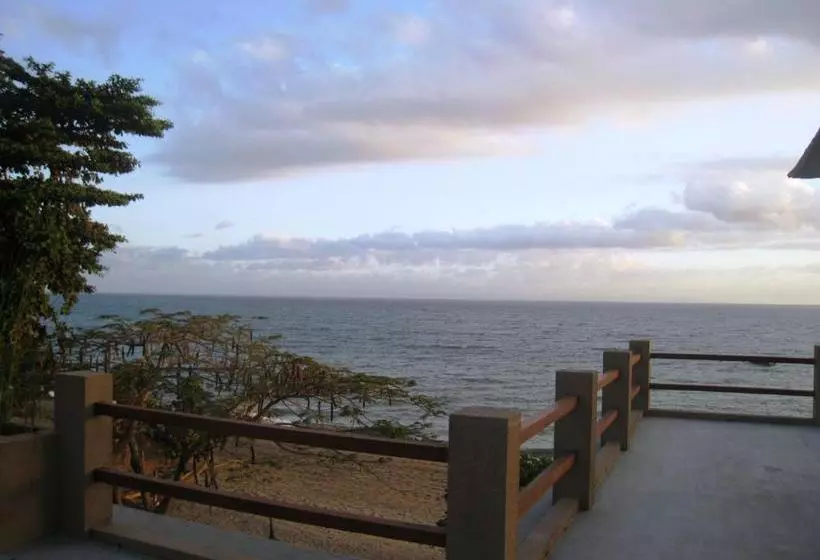 ペンション Cafe Alberto B And B