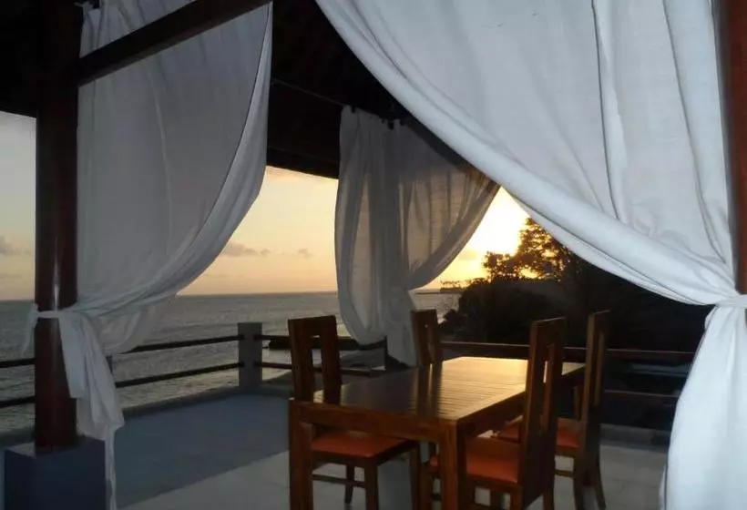 ペンション Cafe Alberto B And B