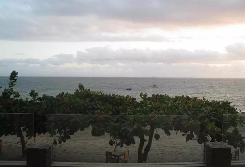 ペンション Cafe Alberto B And B