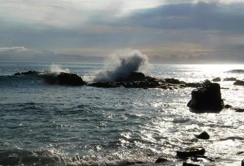 ペンション Cafe Alberto B And B