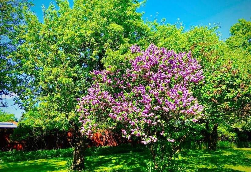 پانسیون Solakoop B&b