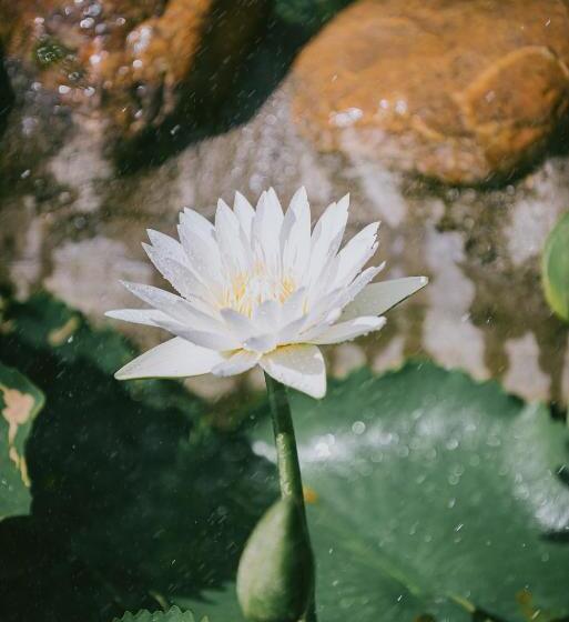 پانسیون Tam Tinh Vien Homestay